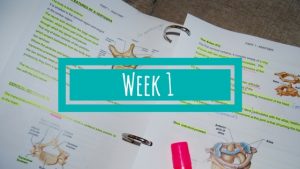 Week 1