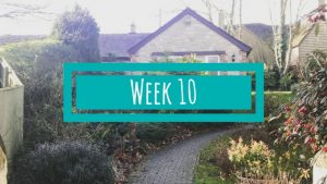 Week 10